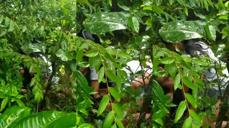 Indian Village Younger Lovebird Sex In Jaungle And Caught