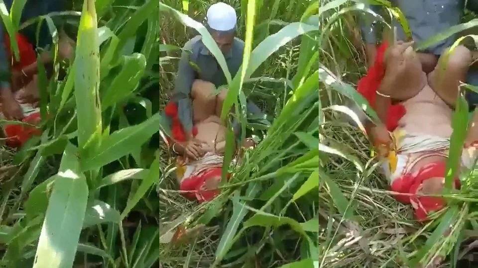 Bd Chacha Fucking In Corn Crop Field